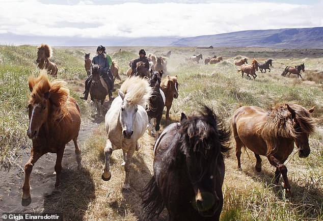 Why a horseback tour through Iceland’s barren wilderness is an adventure like no other 