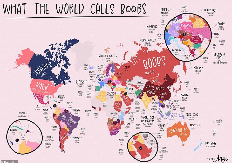 Fascinating maps reveal the most-used nicknames for breasts around the world 