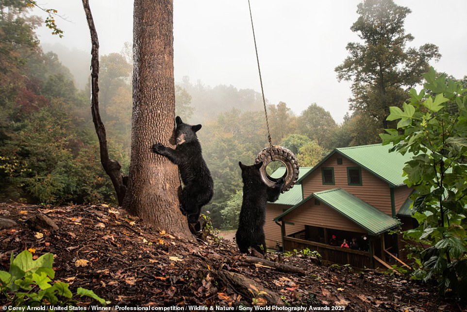 The breathtaking winning images of the 2023 Sony World Photography Awards