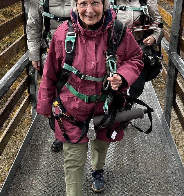 Thrill-seeking gran took on the world’s fastest zip wire aged 91 in a viral clip