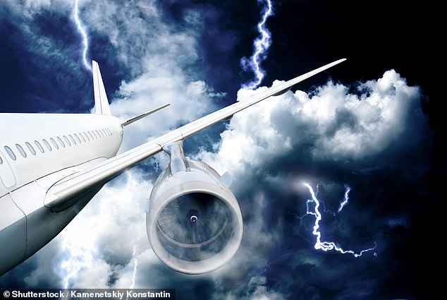Can AI save your life? Google Bard’s tips for surviving plane crashes, croc attacks and more