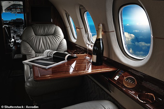 Private jet pilot lifts the veil on his life in the skies, from famous passengers to UFO encounters