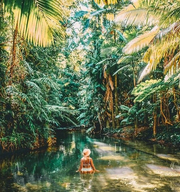 Why you should travel to Lacey’s Creek Walking Track, Djuri National Park a short drive from Cairns