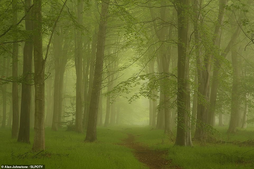Great Scot! Stunning winning shots from the 2023 Scottish Landscape Photographer of the Year contest