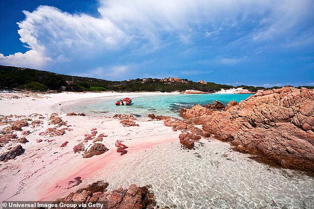 Italy’s incredible PINK beach under threat by Instagram-loving tourists