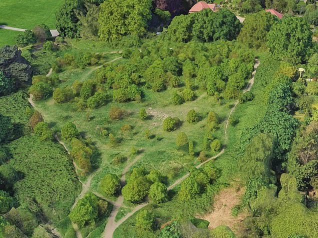 Man arrested after 131 protected oaks were illegally chopped down by Cator Park, south east London
