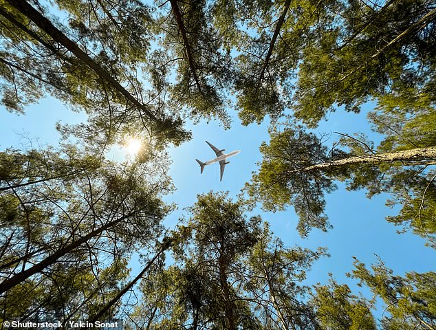 Travelers reveal the U.S. airlines they would avoid at all costs