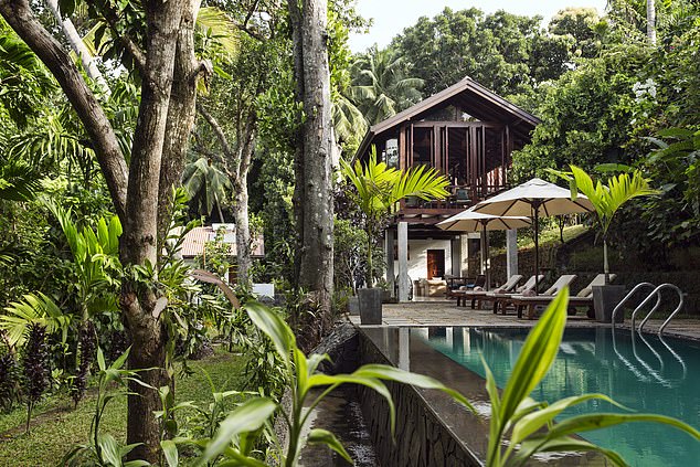 Birds (and big cats) of paradise: Sri Lanka is best known for its elephants – but wildlife of a different kind is the real attraction