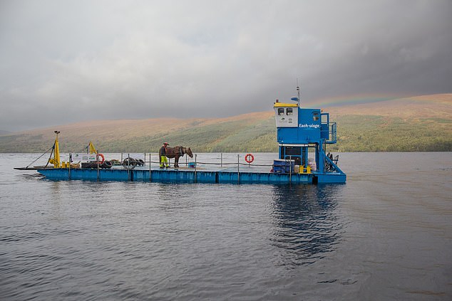Now that’s horsepower! Tarzan the logging horse commutes to work over a loch – aboard a barge named ‘Water Horse’ – as part of bid to revive ancient Highland pinewood forest
