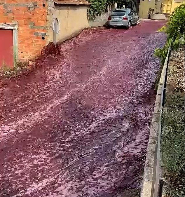 Painting the town red! Incredible moment a river of WINE flows through Portuguese village when distillery’s 2.2million litre tanks burst