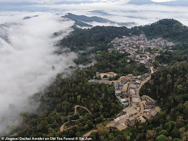 Revealed: The 41 new UNESCO World Heritage Sites for 2023 – from a Viking-age fortress in Denmark to China’s old tea forests