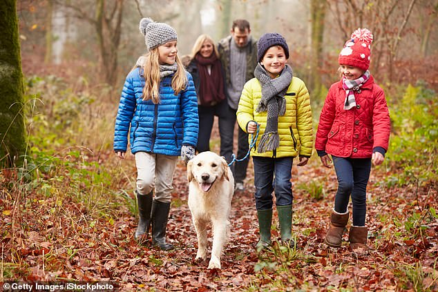 Awesome autumn hikes: Nothing beats a glorious British woodland walk (plus cosy overnight stay). Here’s our pick of the best