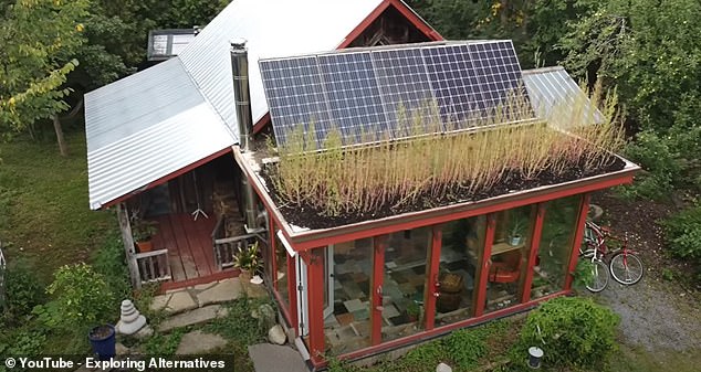 Couple with ‘no money’ reveal how they built a remote Canadian cabin from salvaged goods they found in a DUMP for just $5,000 – as they lift the lid on their unique off-grid lifestyle