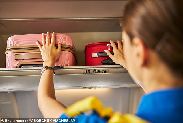 Flight attendant reveals she always packs this one NASA-approved item in her hand luggage – and astronauts have taken it on every Apollo mission