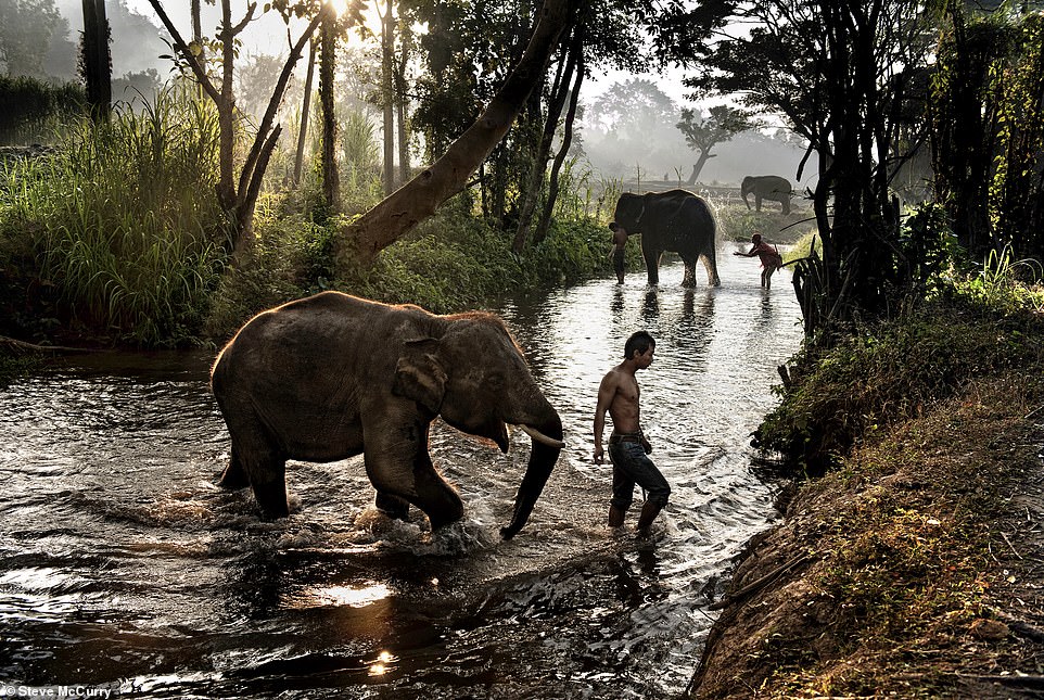 Mesmerising pictures in new book by legendary photographer Steve McCurry show powerful moments of devotion around the world