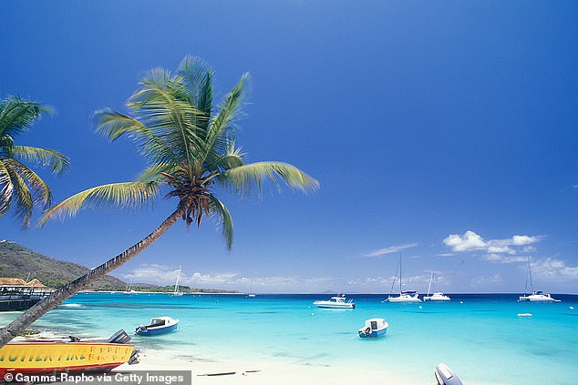 A family treat fit for royalty: Mustique may be pricey but its laid-back glamour, sublime beaches and royal connections give it an unrivalled kudos