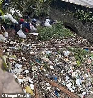 Bin-credible! Spellbinding timelapse video of trash-filled rivers in Indonesia being cleaned up by charity workers goes viral