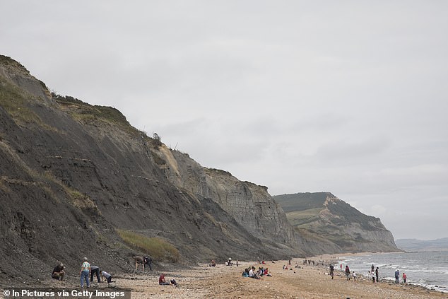 Forget Barbados or Bondi! UK beach revealed as best to visit in winter by Lonely Planet