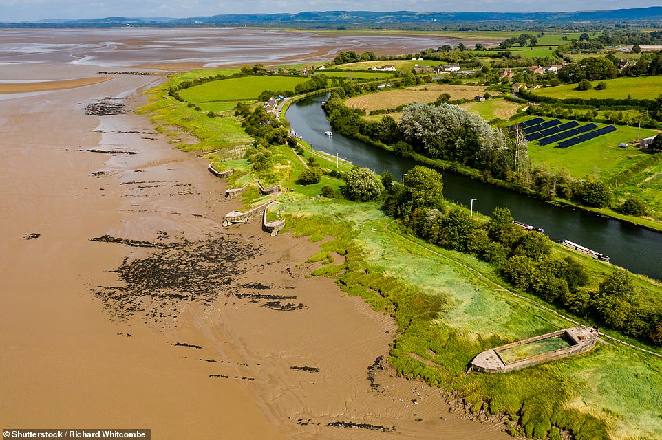 Incredible hulks! Fascinating pictures show one of Britain’s biggest ship graveyards, containing the wrecks of vessels deliberately beached to save a river bank from collapsing