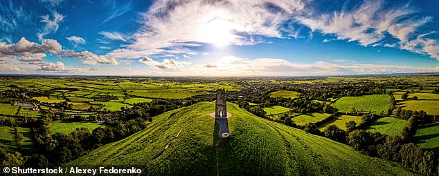 Land of myth and legend: The Somerset Levels offers wild wetlands, rich history… and some incredible birdlife