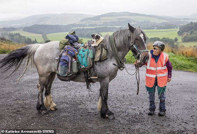 Pensioner, 82, completes 600-mile ride from England to Scotland on her pony Diamond – a 7-week trip she’s made every year since 1972