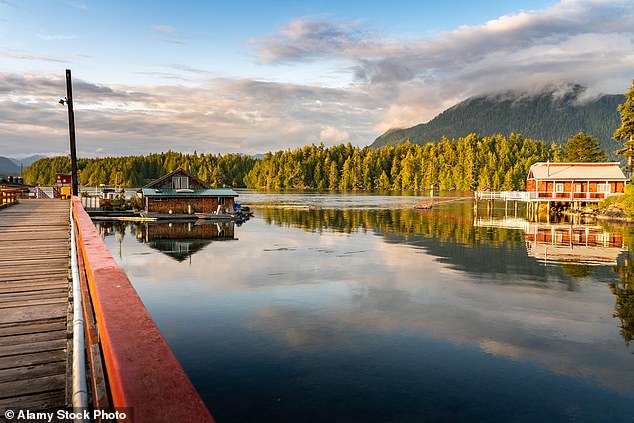 Stormwatching, surfing lessons, whale-spotting – Vancouver Island’s Tofino is… Canada’s Wild West!