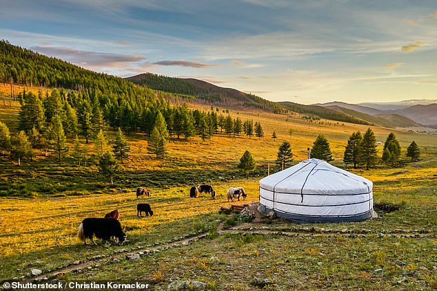 Wildest of wild frontiers: Mongolia’s come to London’s West End, but you can’t beat the real thing – vast plains, an ancient way of life… and yak pasties