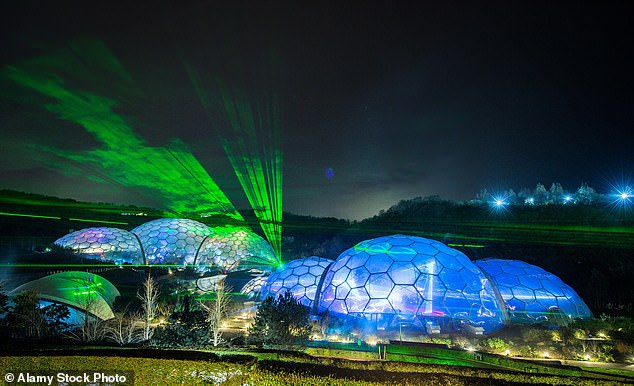 Book in for a bright Christmas: Illuminated tunnels, fluorescent lakes, and talking trees – light shows are now a feature of the festive season, from Kew Gardens to the Eden Project