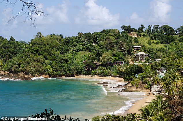 For the best bird-watching in the Caribbean… follow the flock stars to Tobago