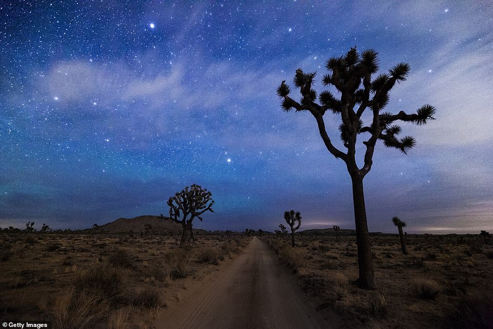 Dark sky at night, stargazer’s delight! Stunning photographs reveal the beauty of starry nights in America’s national parks