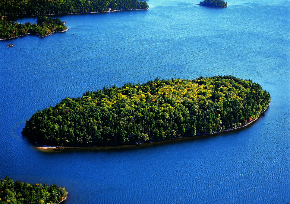 Forget walking on the wild side… own it! This ‘island gem’ in the Canadian wilderness with a white sandy beach could be yours for just £135,000