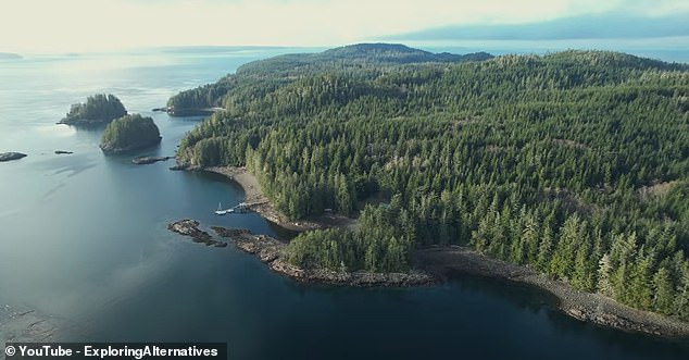 I’m a self-confessed nomad who lives alone on a remote island in Canada with roaming bears