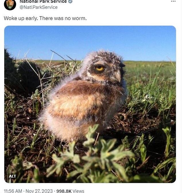 ‘Nothing ruins your weekend like finding out it’s only Wednesday’! National Parks Service become an unlikely social media hit with their wry memes