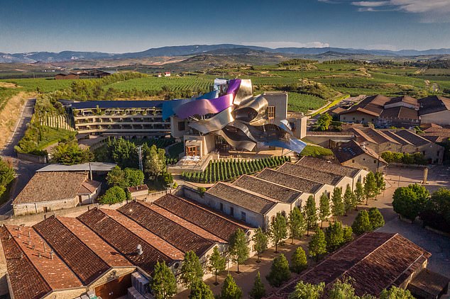 Raise a glass to these corking destinations: Forget boring Dry January and try these guilt-free boozy breaks… from French vineyards to the bourbon capital of the world