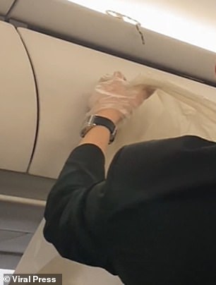 Snake on a plane! Footage captures the moment a SERPENT emerges above an overhead bin mid-flight in front of horrified passengers