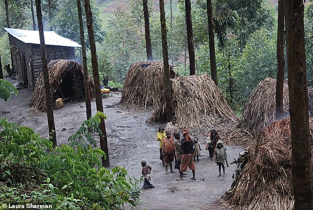 The Mail’s impromptu meeting with the world’s shortest tribe, who live on the edge of Uganda’s Bwindi Impenetrable Forest and count mountain gorillas as their neighbours