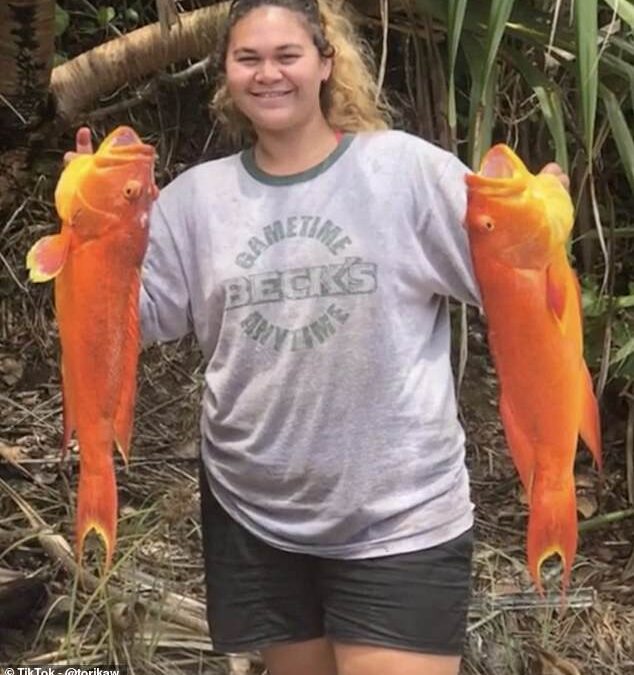 Woman, 21, reveals what it’s really like to live on one of the most remote islands in the world – which has a population of just 50 PEOPLE and can only be accessed by boat ONCE a week