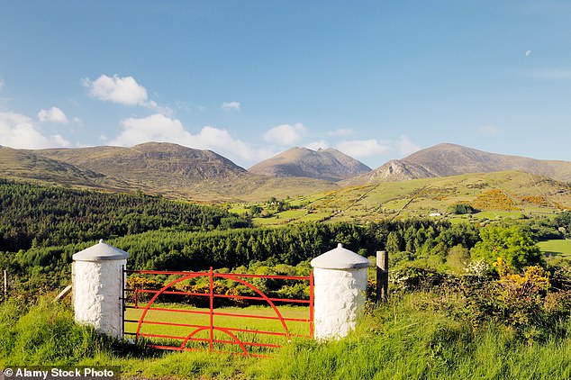 Discovering the true history behind St Patrick’s Day on an 82-mile hike that honours Ireland’s patron saint
