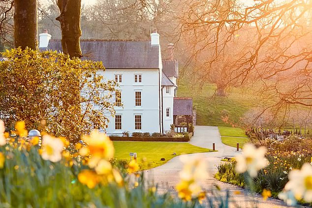 I have stayed in hundreds of hotels across Britain as the Mail’s undercover expert – these are my favourites… and the ones you should avoid!