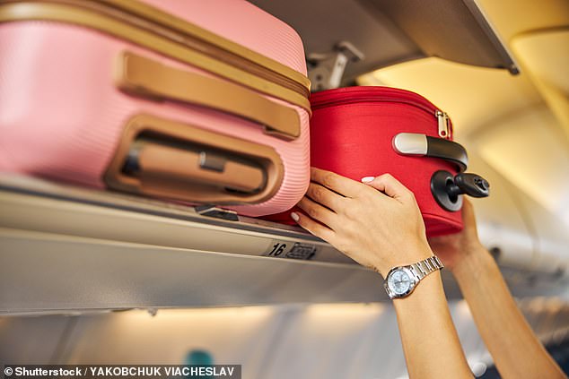 In-flight theft: Is it on the rise, how can you avoid having your valuables pilfered mid-flight, and what should you do if you get robbed on a plane?