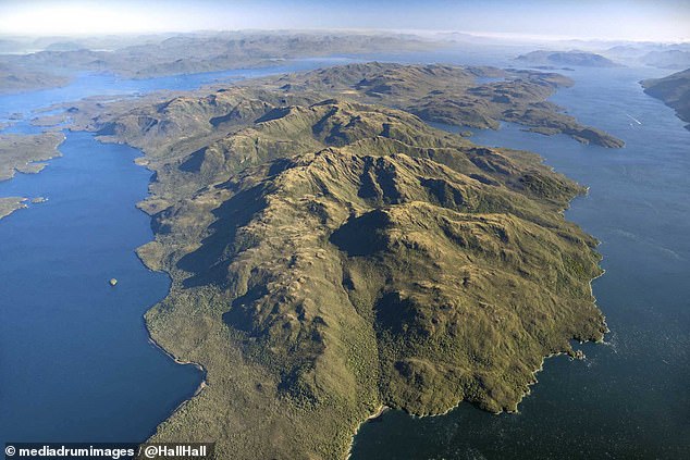 Incredible untouched private island in Patagonia that is more than SEVEN TIMES the size of Manhattan goes on the market for a staggering $35 MILLION