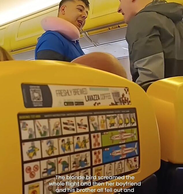 Should alcohol be banned on flights? Brawl on Ryanair plane prompts some to call for booze ban at 38,000ft. But frequent fliers and cabin crew don’t agree. What do YOU think?