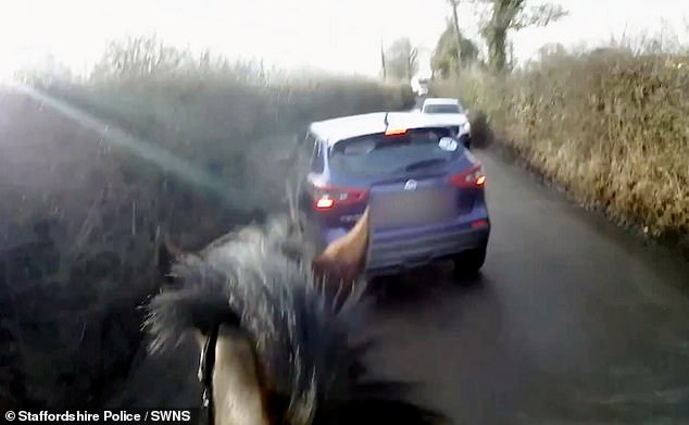 Moment car almost smashes into a horse as police release footage of heart-stopping near-misses on the roads