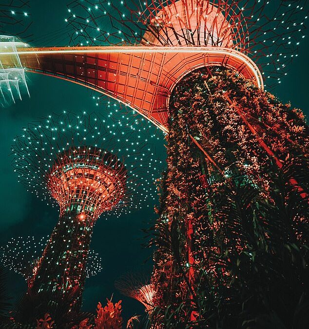 Singapore – so incredible people struggle to work out if photographs of it are REAL: Can you tell if this image of the city was AI-generated? Over half get the answer wrong…