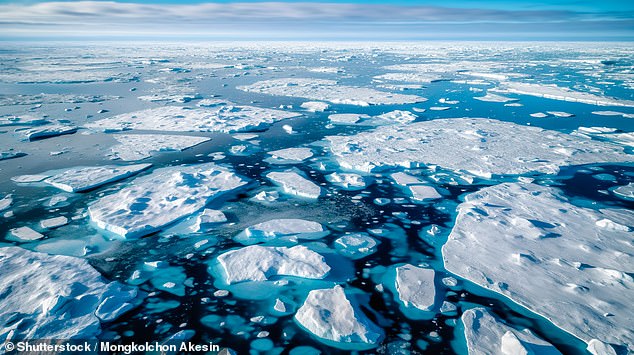 Incredible facts about the North Pole you (probably) didn’t know – including why ‘time of day’ has no meaning there