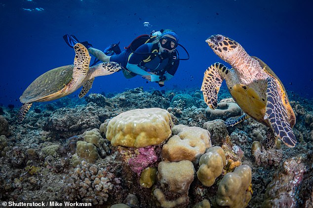 New wonders of the world! The crowd-free tourist spots to book now that are just as magnificent as their famous counterparts