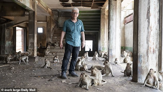 The monkey gangs turning this Thai city into a real-life Planet of the Apes, writes DAVID JONES