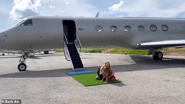 Adorable video captures dogs-only airline’s maiden flight after launching ‘first-class experience’ for canines with tickets costing up to $8,000 one-way
