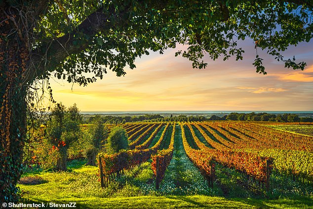 Dreaming of living la dolce vita? Non-EU nationals have the chance to make it a reality thanks to Italy’s new digital nomad visa – which allows them to live in the country for a YEAR
