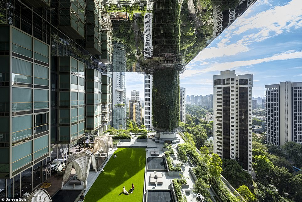 Half hotel – half JUNGLE: Inside the showstopping property in Singapore resembling a giant game of Jenga that’s smothered in foliage, which guests can admire from a floating bar